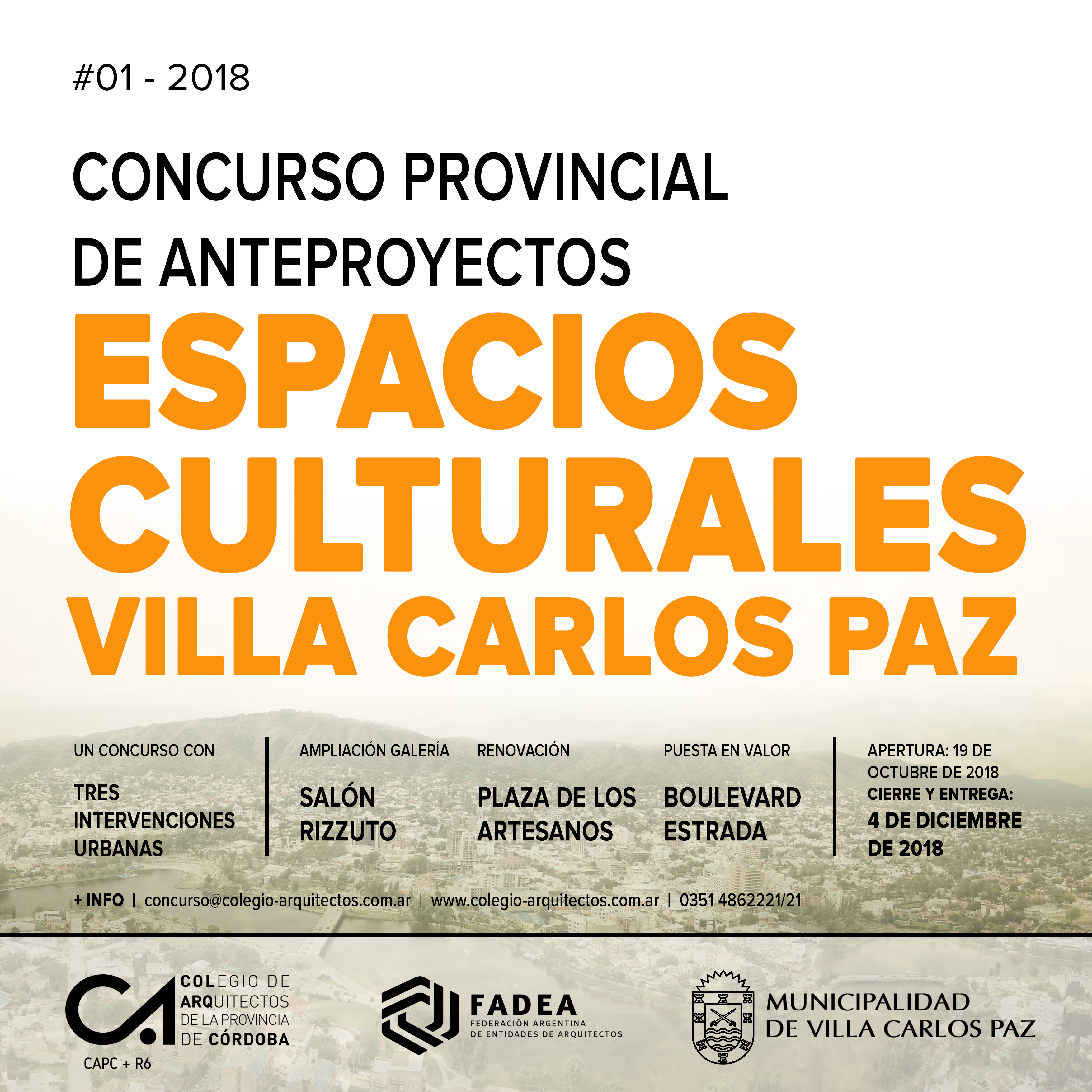 Resolución N° 403/300